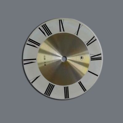 기계를 위한 스테인리스 스틸 산업용 정밀 발각 다이얼